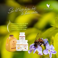 Viên Phấn Ong Forever Bee Pollen 026Flp - Giàu Enzyme, Tăng Cường Sức Khỏe, Bổ Sung Dinh Dưỡng Nguyên Chất, 100 Viên/Lọ
