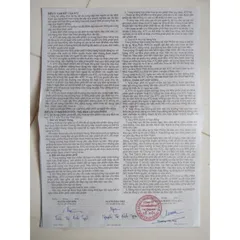 Nước Uống Dinh Dưỡng Forever Aloe Vera Gel 015flp - Gel Nha Đam Tự Nhiên Bổ Sung Chất Xơ và Vitamin, Làm Đẹp Da và Thanh Lọc Cơ Thể