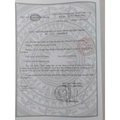 Viên Rau Xanh Forever of Greens 068flp - Bổ Sung Chất Xơ, Hỗ Trợ Tiêu Hoá, 80 Viên/ Lọ - Sản Phẩm Từ Thiên Nhiên cho Sức Khỏe Tối Ưu