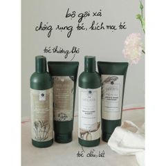 Dầu Gội Weilaiya Tinh Chất Gừng - Hỗ Trợ Mọc Tóc, Giảm Gàu, Dưỡng Tóc Khỏe Mạnh - Sản Phẩm Chăm Sóc Tóc Tự Nhiên Đức