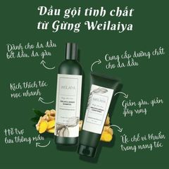 Dầu Gội Weilaiya Tinh Chất Gừng - Hỗ Trợ Mọc Tóc, Giảm Gàu, Dưỡng Tóc Khỏe Mạnh - Sản Phẩm Chăm Sóc Tóc Tự Nhiên Đức