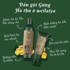 Dầu Gội Weilaiya Tinh Chất Gừng - Hỗ Trợ Mọc Tóc, Giảm Gàu, Dưỡng Tóc Khỏe Mạnh - Sản Phẩm Chăm Sóc Tóc Tự Nhiên Đức