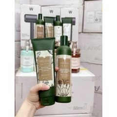 Dầu Gội Weilaiya Tinh Chất Gừng - Hỗ Trợ Mọc Tóc, Giảm Gàu, Dưỡng Tóc Khỏe Mạnh - Sản Phẩm Chăm Sóc Tóc Tự Nhiên Đức