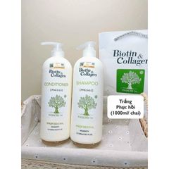 Combo Gội + Xả Dầu Xả Biotin & Collagen - 1000ml