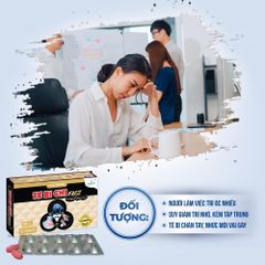 Tê Bì Chi Brain Alz - Viên Bổ Trợ Tăng Cường Trí Não, Giảm Mệt Mỏi Và Tình Trạng Suy Giảm Trí Nhớ (Alzheimer)