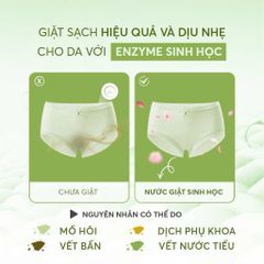 Nước Giặt Đồ Lót Sinh Học Lô Hội Nét Hoa 300ml - An Toàn Cho Da Nhạy Cảm, Kháng Khuẩn, Làm Sạch Dịu Nhẹ