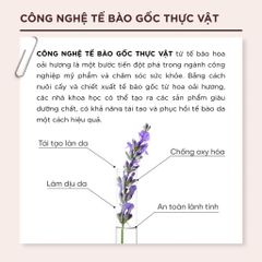Sữa Rửa Mặt Lalamos Phôi Kim Ngân Hoa 280ml - Làm Sạch Sâu, Cấp Ẩm, Dưỡng Da Mềm Mại, An Toàn Cho Mọi Loại Da
