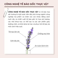 Kem Chống Nắng Lalamos Nhụy Kim Ngân Hoa Tone Up Unisex SPF 50+ PA++++ - Bảo Vệ Da, Nâng Tông, Dưỡng Ẩm - 50ml