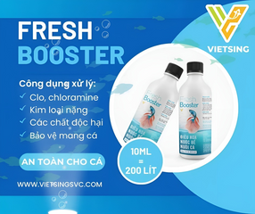 Dung Dịch Khử Clo Fresh Booster 100ml - Giải Pháp Xử Lý Nước Cao Cấp Cho Hồ Cá, Đảm Bảo Môi Trường Nuôi Cá An Toàn