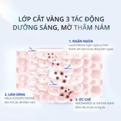 Tinh Chất Dưỡng Sáng Da AHC Niacin Biome Mela Scissors Max Essence 5ml Mini