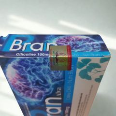 Viên uống Brain Alva - Hỗ trợ hoạt huyết, tăng cường tuần hoàn não, cải thiện trí nhớ, giảm đau đầu và chóng mặt - Goldwin