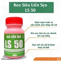 Keo Liền Sẹo 100gr - Giúp Giâm Cành Hoa Cây Cảnh, Chất Lượng Cao LS Việt Nam, Đảm Bảo Hiệu Quả Ổn Định