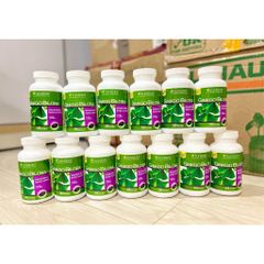 Bổ não Ginko Bibola 120mg của Mỹ lọ 340 viên