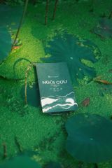 Bột Xông Ngải Cứu D'Vi Nature - Thải Chì, Đào Thải Độc Tố, Chăm Sóc Da Từ Thiên Nhiên, Sản Phẩm Làm Đẹp Độc Quyền Việt Nam