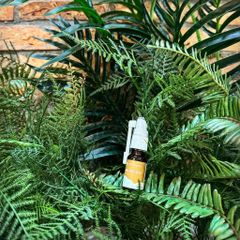 Kim Ngũ Sắc D'Vi Nature - Hỗ Trợ Xoang Mũi Từ Thiên Nhiên, Giảm Tắc Nghẽn, Cung Cấp Độ Ẩm, Dành Cho Người Lớn Và Trẻ Em Từ 6 Tuổi