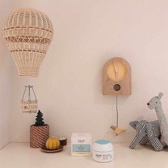 Khinh khí cầu mây