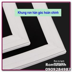 Ron Cửa Tủ Lạnh Electrolux ETB2300PC - Thay Thế Cao Su & Nam Châm Dễ Dàng - Kiểm Tra Kích Thước Trước Khi Đặt Hàng
