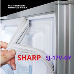 Ron Tủ Lạnh Chất Lượng Cao - Ron Cao Su Nam Châm Thay Thế Được Thiết Kế Đặc Biệt, Dễ Dàng Lắp Đặt, Giao Hàng Toàn Quốc