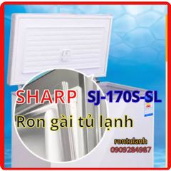 Ron Tủ Lạnh Chất Lượng Cao - Ron Cao Su Nam Châm Thay Thế Được Thiết Kế Đặc Biệt, Dễ Dàng Lắp Đặt, Giao Hàng Toàn Quốc