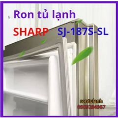 Ron Tủ Lạnh Chất Lượng Cao - Ron Cao Su Nam Châm Thay Thế Được Thiết Kế Đặc Biệt, Dễ Dàng Lắp Đặt, Giao Hàng Toàn Quốc