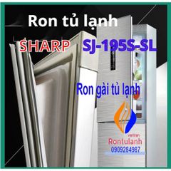 Ron Tủ Lạnh Chất Lượng Cao - Ron Cao Su Nam Châm Thay Thế Được Thiết Kế Đặc Biệt, Dễ Dàng Lắp Đặt, Giao Hàng Toàn Quốc