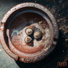Nụ Quế Thông Noom - Sản Phẩm Tự Nhiên Giúp Thư Giãn và Thanh Lọc Không Khí - Khỏi Độc Hại, Mùi Hương Dễ Chịu