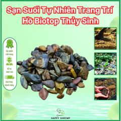 Sạn Suối Thiên Nhiên 100g-200g - Sỏi Trang Trí Hồ Thủy Sinh Biotop - Phụ Kiện Bể Cá Cảnh Tự Nhiên