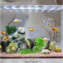 Đá Sỏi Trang Trí Tiểu Cảnh Hồ Cá - Sỏi Màu Nhiều Kích Thước Cho Bể Thủy Sinh Sân Vườn, Trang Trí Độc Đáo