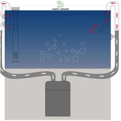 Đầu In Out phi 16 Tích Hợp Lọc Váng Xoay Chính Hãng ZRDR | In Out Inox Siêu Bền