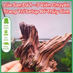 Lũa San Đá Viên Chuyên Trang Trí Bể Thủy Sinh - Lũa Tự Nhiên Độc Đáo, Kích Cỡ Ngẫu Nhiên, Thích Hợp Trưng Bày Cảnh Cá