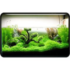 Nhíp Cắm Cây Thủy Sinh 38cm - Dụng Cụ Trồng Cây Bể Thủy Sinh, Thép Không Gỉ, Linh Hoạt Cho Cây Cạn Và Dưới Nước
