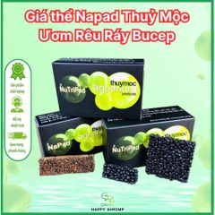 Giá Thể Napad Thủy Mộc - Giá Thể Buộc Cây Thủy Sinh Cho Rêu, Bucep, Ráy - Phụ Kiện Hồ Cá 10 Miếng