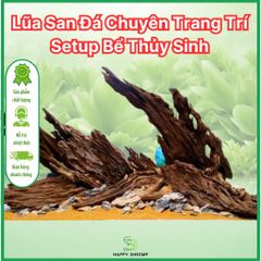 Lũa San Đá Trang Trí Bể Thủy Sinh - Miếng Nhiều Kích Thước Tự Nhiên Đẹp, Hình Dáng Độc Đáo Cho Bể Cá Cảnh