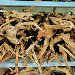 Lũa San Đá Trang Trí Bể Thủy Sinh - Miếng Nhiều Kích Thước Tự Nhiên Đẹp, Hình Dáng Độc Đáo Cho Bể Cá Cảnh