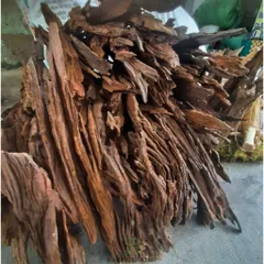 Lũa San Đá Trang Trí Bể Thủy Sinh - Miếng Nhiều Kích Thước Tự Nhiên Đẹp, Hình Dáng Độc Đáo Cho Bể Cá Cảnh