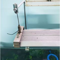 Cặp Ốc Siết Đèn LED Thủy Sinh - Dụng Cụ Treo Đèn Chuyên Dụng Có Lỗ Xỏ Ngang, Tiện Lợi Trong Nhà và Vườn