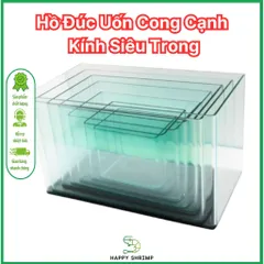 Hồ Đúc Uốn Cong Cạnh Kính Siêu Trong - Bể Thủy Sinh, Cá Cảnh, Nuôi Tép Đẹp Mắt, Kích Thước Đa Dạng 30-60cm