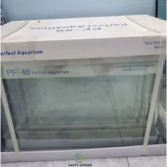Hồ Đúc Uốn Cong Cạnh Kính Siêu Trong - Bể Thủy Sinh, Cá Cảnh, Nuôi Tép Đẹp Mắt, Kích Thước Đa Dạng 30-60cm