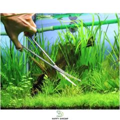 Kéo Cắt Tỉa Cây Thủy Sinh 25cm - Dụng Cụ Chuyên Nghiệp Bằng Thép Không Gỉ để Làm Gọn Hồ Cá