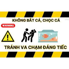 Decal Dán Hồ Cá Cảnh Báo Vui Vẻ 2x3 Inch - Miếng Dán Chống Nước Trang Trí Bể Cá Kiểu Dễ Thương, Chống Bay Màu, Dễ Sử Dụng