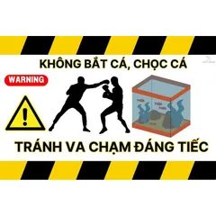 Decal Dán Hồ Cá Cảnh Báo Vui Vẻ 2x3 Inch - Miếng Dán Chống Nước Trang Trí Bể Cá Kiểu Dễ Thương, Chống Bay Màu, Dễ Sử Dụng