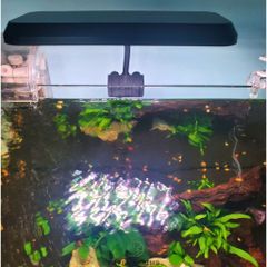Đèn Thủy Sinh DEYAO CF-02 Đỏ Cá Không Đỏ Nước Công Suất 13W Led: Rgb 3 In 1 | Đèn Deyao CF-02