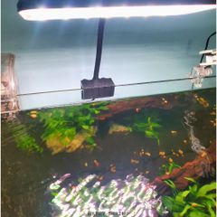 Đèn Thủy Sinh DEYAO CF-02 Đỏ Cá Không Đỏ Nước Công Suất 13W Led: Rgb 3 In 1 | Đèn Deyao CF-02