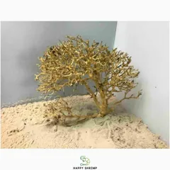 Lũa Xương Chùm Trang Trí Thủy Sinh - Giúp Tạo Layout Đẹp Cho Hồ Cá, Dễ Sử Dụng, Khuyên Dùng Kèm Lũa Hải Sơn Quỳ