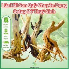 Lũa Hải Sơn Quỳ Trang Trí Hồ Thủy Sinh - Gỗ Chịu Nước Bố Cục Độc Đáo, Sẵn Sàng Sử Dụng cho Hồ Cá Cảnh