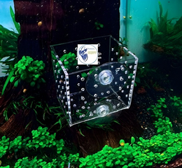 Cốc Trồng Cây Mica Đa Năng 6x6x6cm - Hỗ Trợ Trang Trí Hồ Thủy Sinh và Đựng Thức Ăn Cho Cá Cảnh