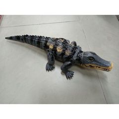 Hộp đồ chơi Cá sấu lắp pin biết đi có nhạc và đèn phát sáng - Đồ chơi giáo dục cho trẻ em, tặng kèm pin, nhiều màu sắc thú vị