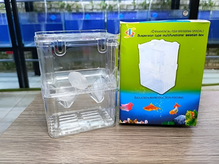 Lồng Đẻ Cá Nhựa 2 Tầng - Lồng Đôi & Đơn Tách Dưỡng Cá Téo Cảnh An Toàn và Tiện Lợi tại Bể Cá