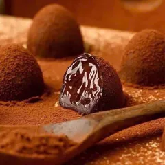 Socola Tươi Truffes Favorina Pháp - Hộp Quà Độc Đáo Gồm 4 Vị Như Nguyên Bản, Hạt Phỉ, Vỏ Cam, Caramel - Món Quà Ngọt Ngào Cuối Năm