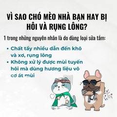 Sữa Tắm Chó Mèo Ecopets 10ml - Dưỡng Lông Mềm Mượt, Khử Mùi Hiệu Quả Lên Đến 2 Tuần Với Nano Bạc An Toàn
